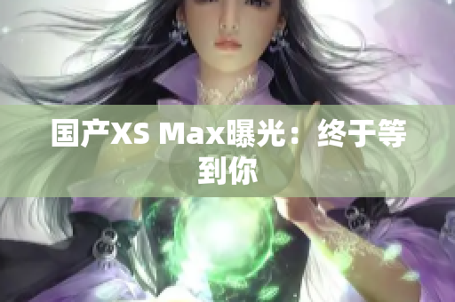 国产XS Max曝光：终于等到你