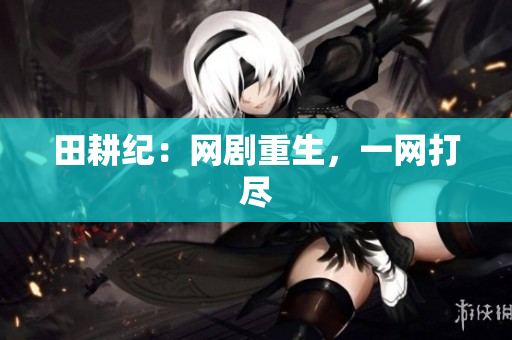 田耕纪：网剧重生，一网打尽