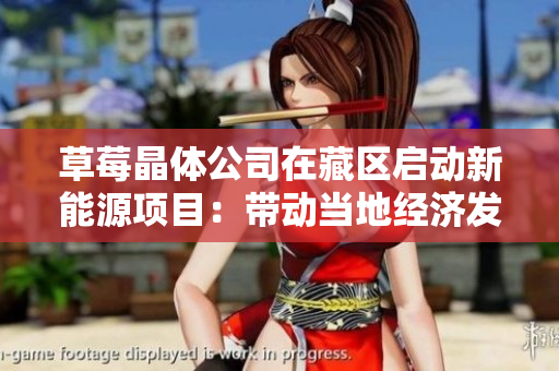 草莓晶体公司在藏区启动新能源项目：带动当地经济发展