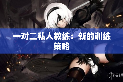 一对二私人教练：新的训练策略
