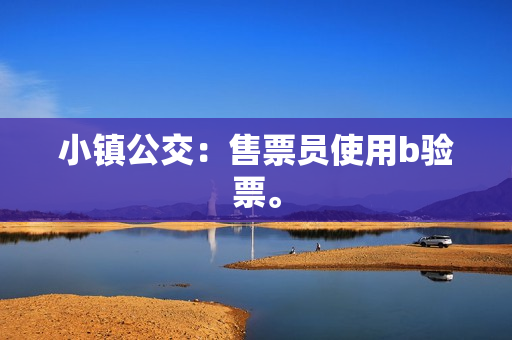 小镇公交：售票员使用b验票。