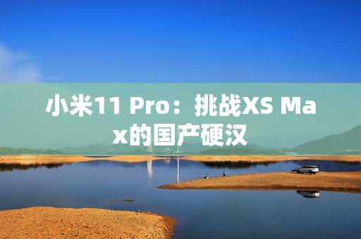 小米11 Pro：挑战XS Max的国产硬汉