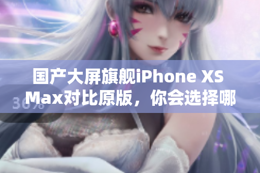 国产大屏旗舰iPhone XS Max对比原版，你会选择哪一个？