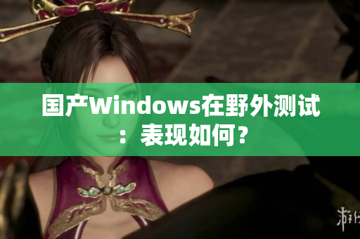 国产Windows在野外测试：表现如何？