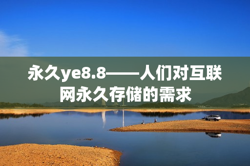 永久ye8.8——人们对互联网永久存储的需求