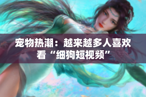 宠物热潮：越来越多人喜欢看“细狗短视频”