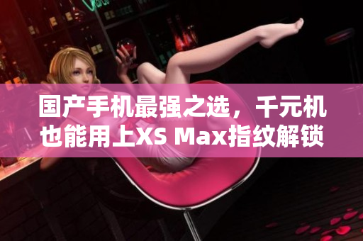 国产手机最强之选，千元机也能用上XS Max指纹解锁！