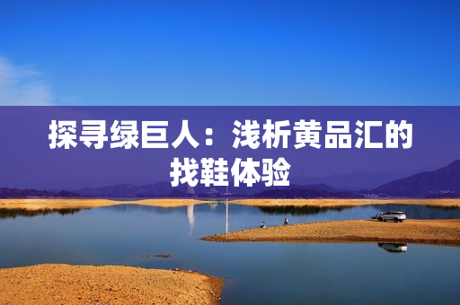 探寻绿巨人：浅析黄品汇的找鞋体验