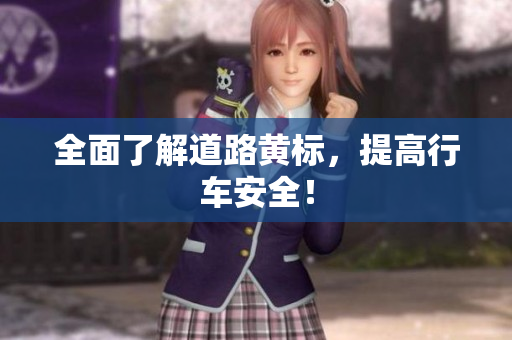 全面了解道路黄标，提高行车安全！