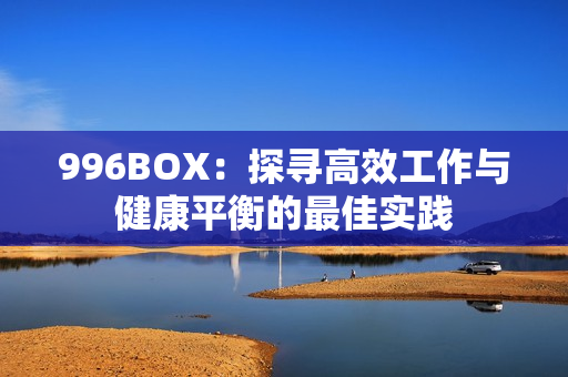 996BOX：探寻高效工作与健康平衡的最佳实践
