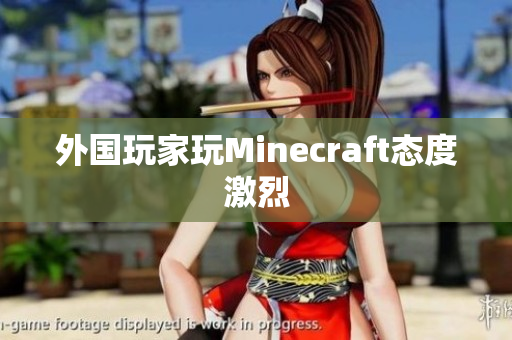 外国玩家玩Minecraft态度激烈