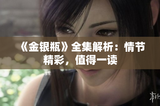 《金银瓶》全集解析：情节精彩，值得一读