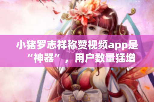 小猪罗志祥称赞视频app是“神器”，用户数量猛增