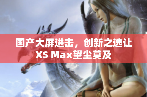 国产大屏进击，创新之选让XS Max望尘莫及