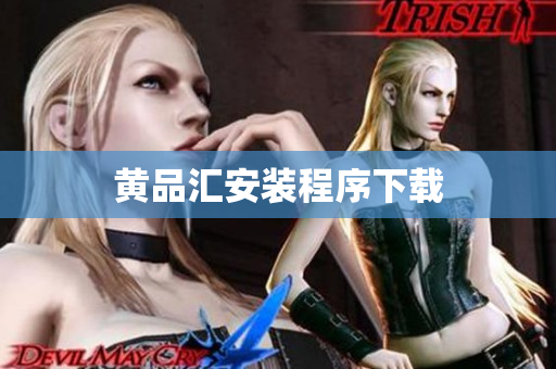 黄品汇安装程序下载