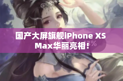 国产大屏旗舰iPhone XS Max华丽亮相！