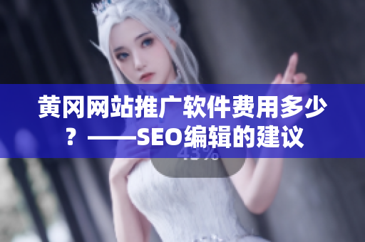 黄冈网站推广软件费用多少？——SEO编辑的建议