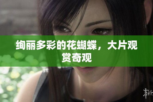 绚丽多彩的花蝴蝶，大片观赏奇观
