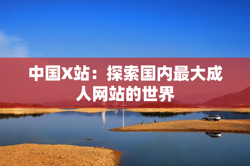 中国X站：探索国内最大成人网站的世界