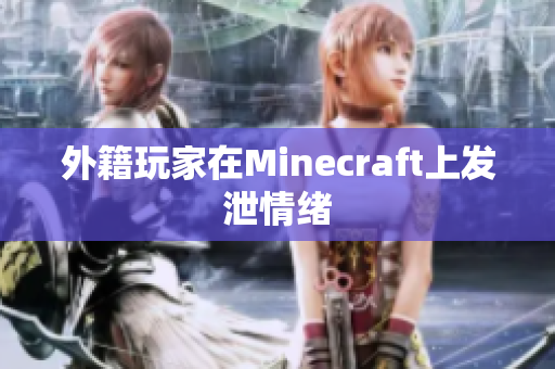 外籍玩家在Minecraft上发泄情绪