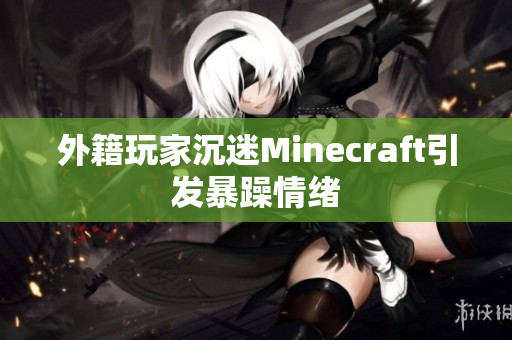 外籍玩家沉迷Minecraft引发暴躁情绪