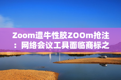 Zoom遭牛性胶ZOOm抢注：网络会议工具面临商标之争