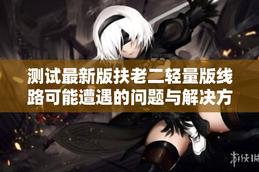 测试最新版扶老二轻量版线路可能遭遇的问题与解决方法