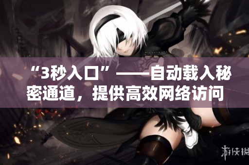 “3秒入口”——自动载入秘密通道，提供高效网络访问