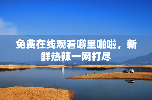 免费在线观看噼里啪啦，新鲜热辣一网打尽