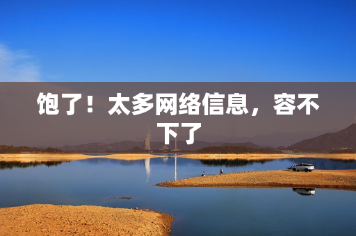 饱了！太多网络信息，容不下了