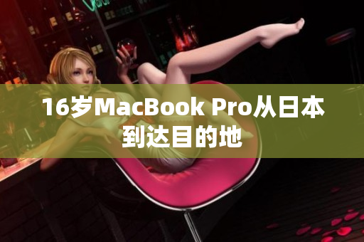 16岁MacBook Pro从日本到达目的地