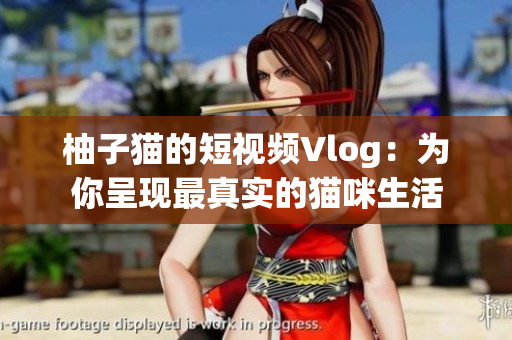 柚子猫的短视频Vlog：为你呈现最真实的猫咪生活