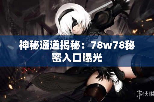 神秘通道揭秘：78w78秘密入口曝光