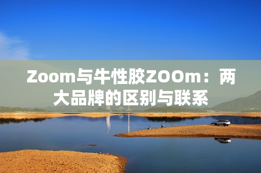 Zoom与牛性胶ZOOm：两大品牌的区别与联系
