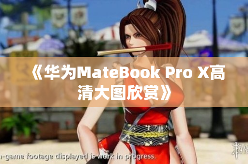 《华为MateBook Pro X高清大图欣赏》