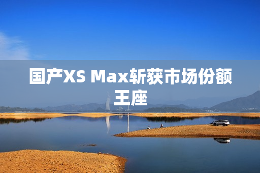 国产XS Max斩获市场份额王座