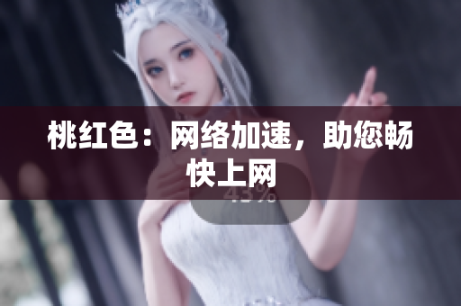 桃红色：网络加速，助您畅快上网