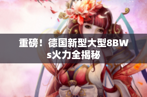 重磅！德国新型大型8BWs火力全揭秘