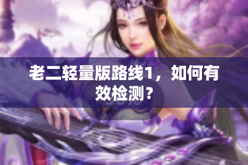 老二轻量版路线1，如何有效检测？