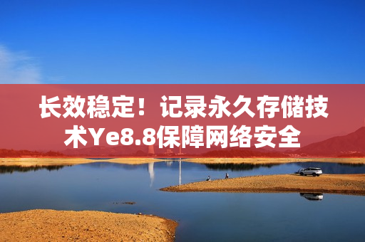 长效稳定！记录永久存储技术Ye8.8保障网络安全