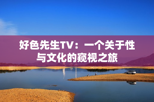 好色先生TV：一个关于性与文化的窥视之旅