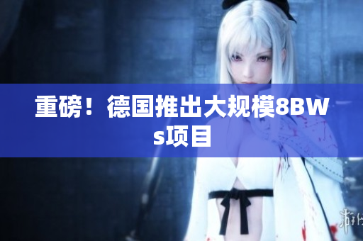 重磅！德国推出大规模8BWs项目