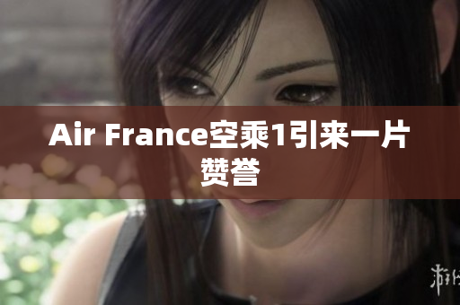 Air France空乘1引来一片赞誉