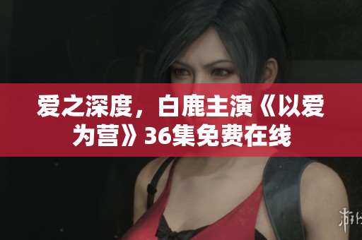 爱之深度，白鹿主演《以爱为营》36集免费在线