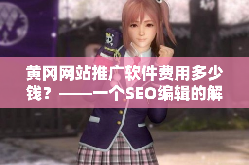黄冈网站推广软件费用多少钱？——一个SEO编辑的解读
