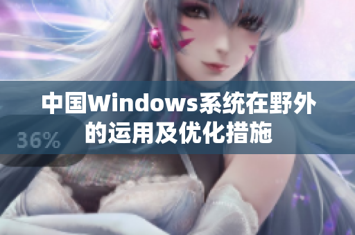 中国Windows系统在野外的运用及优化措施