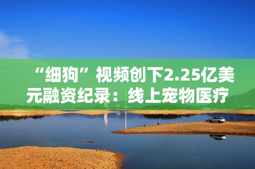 “细狗”视频创下2.25亿美元融资纪录：线上宠物医疗和训练市场看好