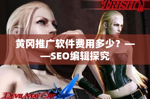 黄冈推广软件费用多少？——SEO编辑探究