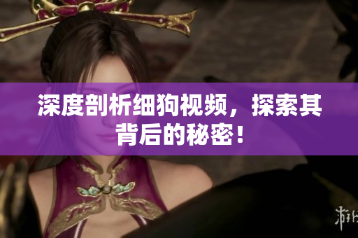 深度剖析细狗视频，探索其背后的秘密！