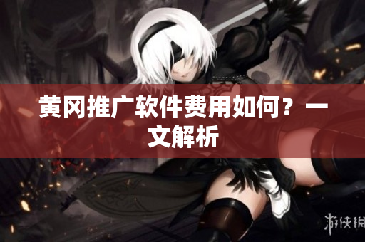 黄冈推广软件费用如何？一文解析